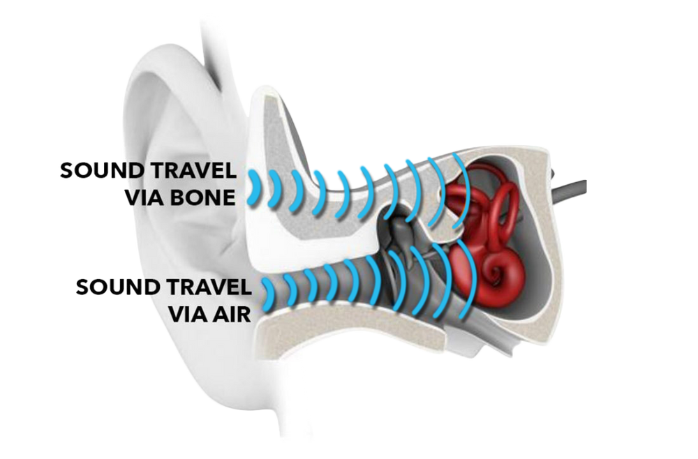 a diagram of a human ear