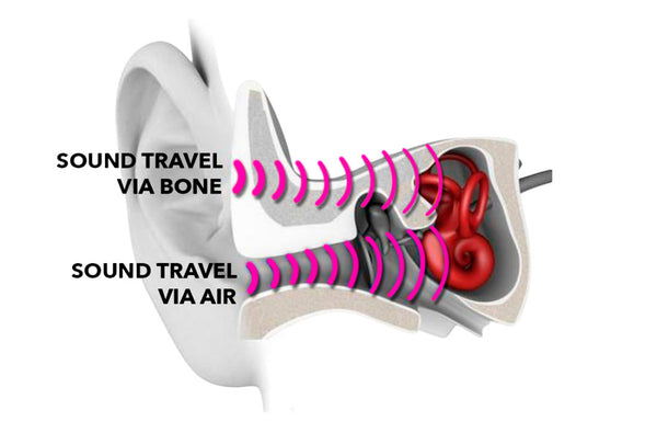 Bone conduction technology illustration